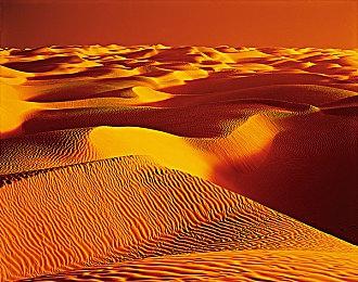 《逃离塔科夫》PvE模式将向所有玩家开放 6个月